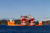 Dockwise White Marlin